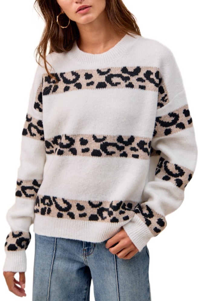 Leopard Artwork Striped Sweater Top