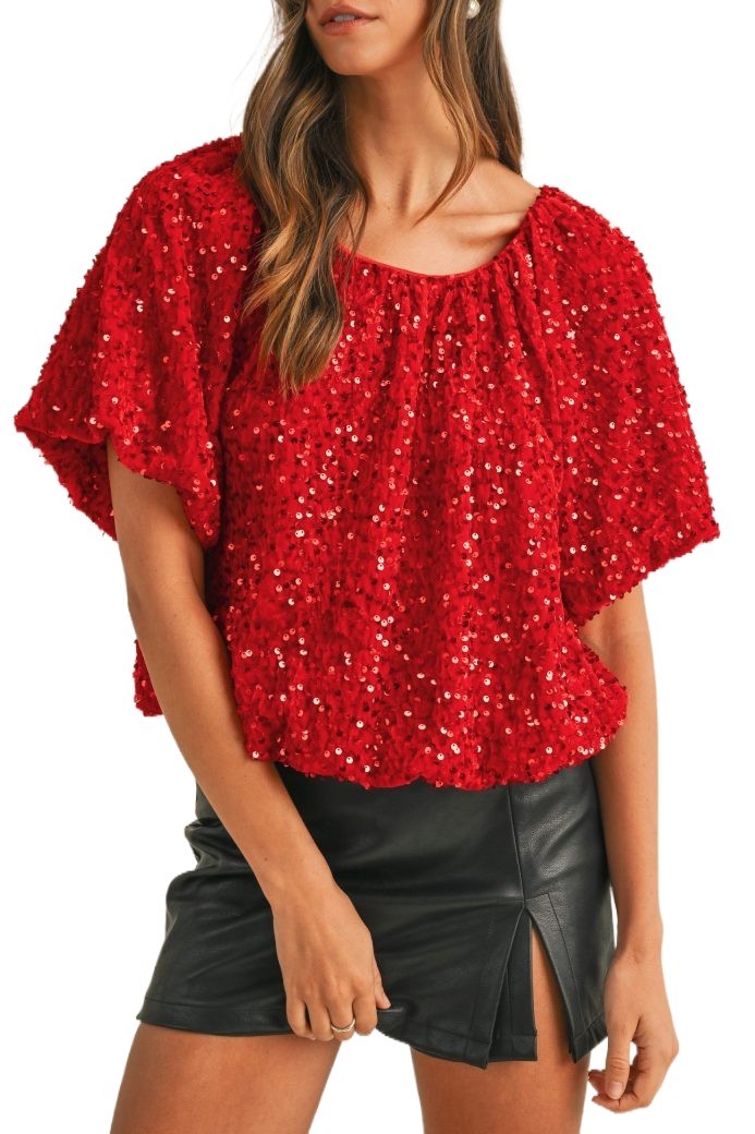 Sequin Velvet Balloon Sleeve Blouse
