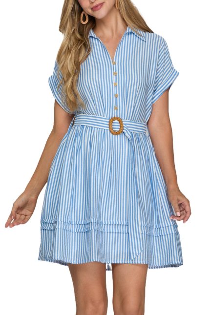 Striped Collared Mini Dress