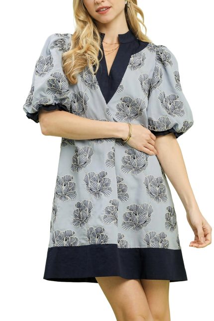 Embroidered V-neck Mini Dress