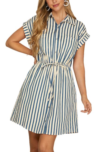 Stripe Mini Dress