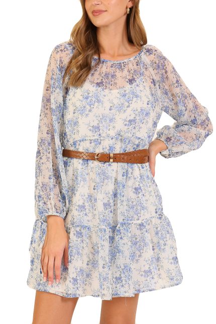 Blue Blossom Sheer Floral Mini Dress