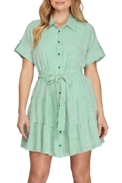 Striped Button Down Mini Dress