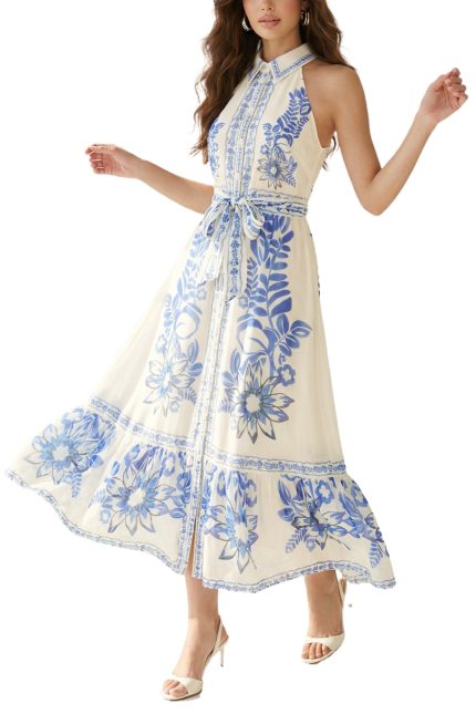 Organza Floral Print Maxi Dress