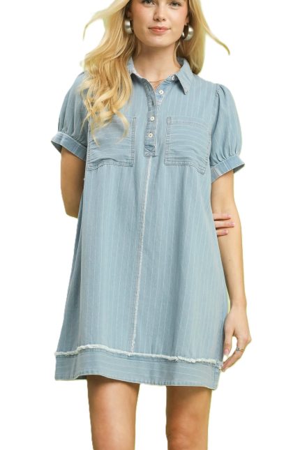Denim Stripe Polo Mini Dress