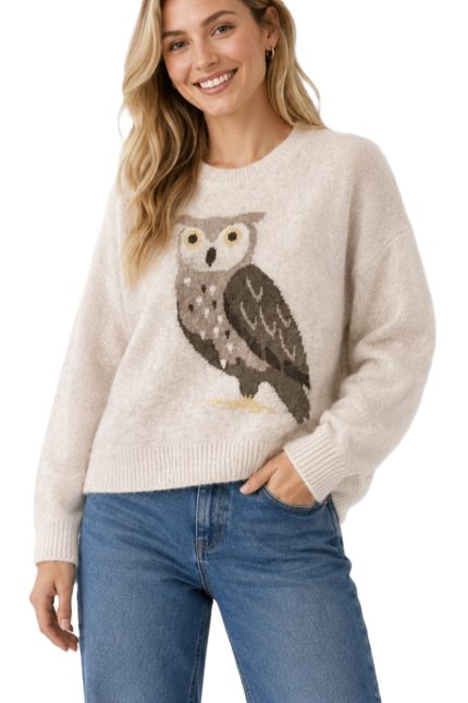 Knit Owl Pullover