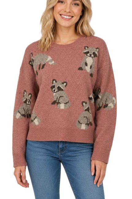 Raccoon Pattern Pullover