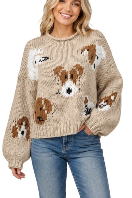 Intarsia Knit Dog Sweater
