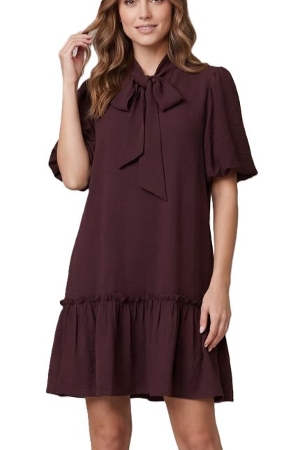 Bow Neck Woven Mini Dress