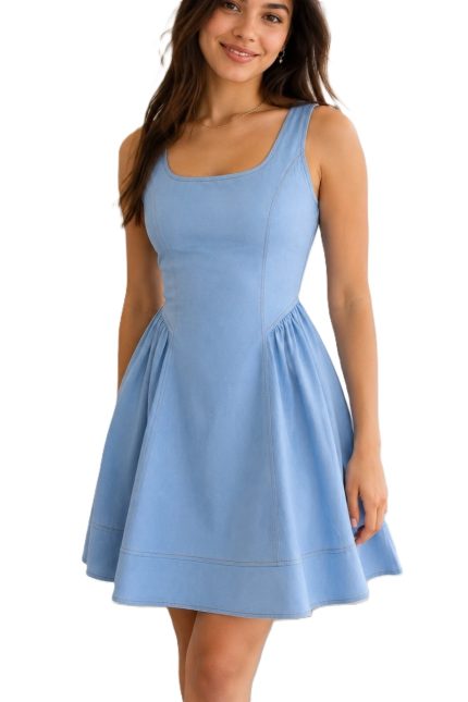 Sleeveless Fit And Flare Mini Dress