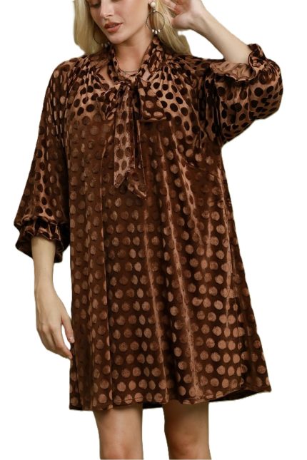 Polka Dot Tie Neck Mini Dress