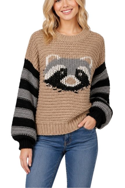 Raccoon Pullover With Striped Sleeves