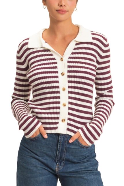 Ribbed Striped Polo Knit Top