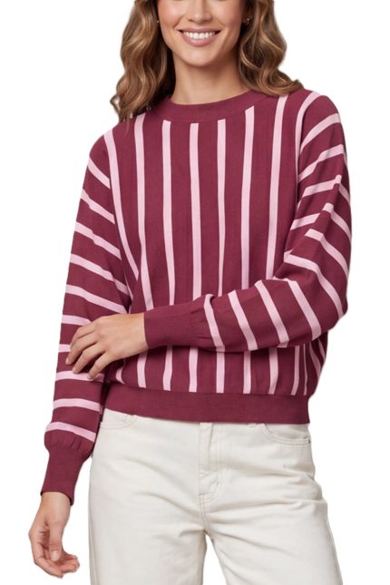 Batwing Sleeve Vertical Stripe Sweater Top