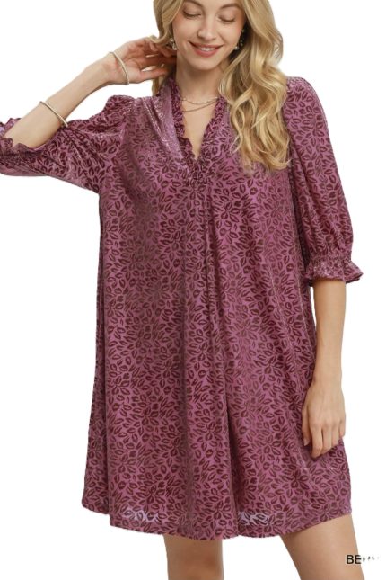 Velvet Ruffle Neck Dress