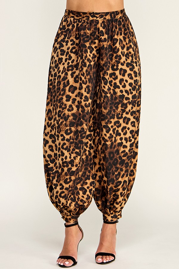 leopard