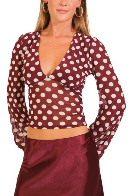 Polka Dot Mesh Deep V-neck Top