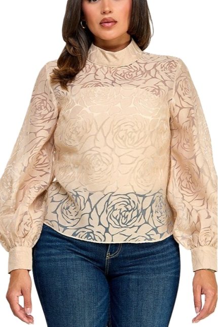Long Sleeve Mock Neck Organza Top