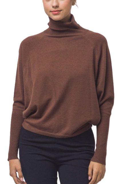 Turtleneck Batwing Sweatshirt