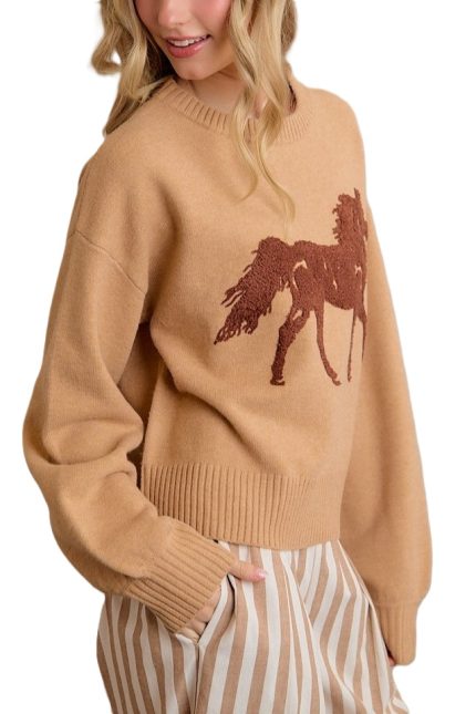 Horse Graphic Crew Neck Long Sleeve Sweater Top